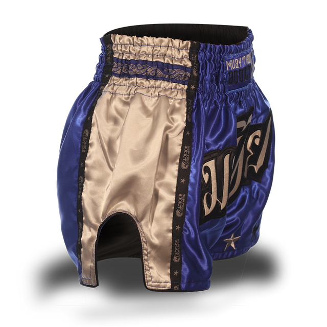 Blue and Grey Single Panel Stars Muay Thai Shorts