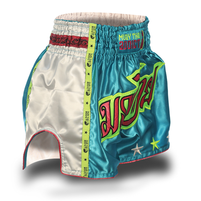 Aqua Blue Single Panel Stars Muay Thai Shorts