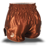 Brown and Beige Single Panel Stars Muay Thai Shorts